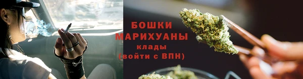 прущие грибы Осинники