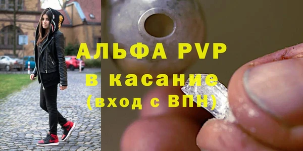прущие грибы Осинники