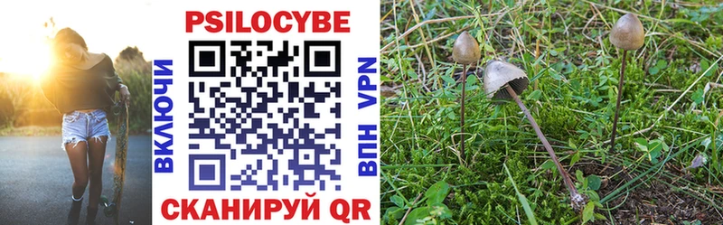 Галлюциногенные грибы Psilocybine cubensis Саки